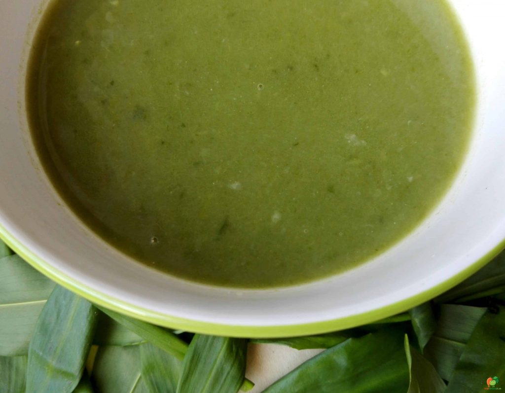 medvedi cesnak 4