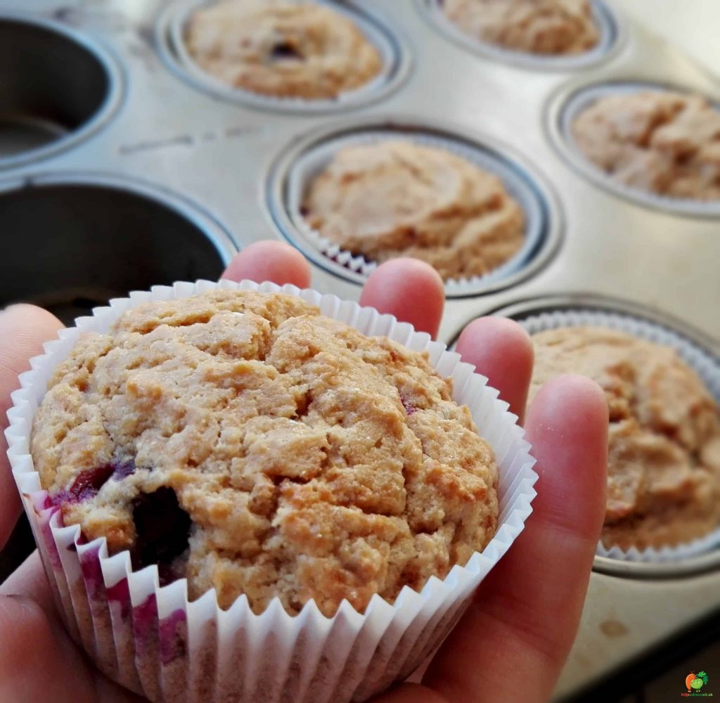 čučo muffiny 2