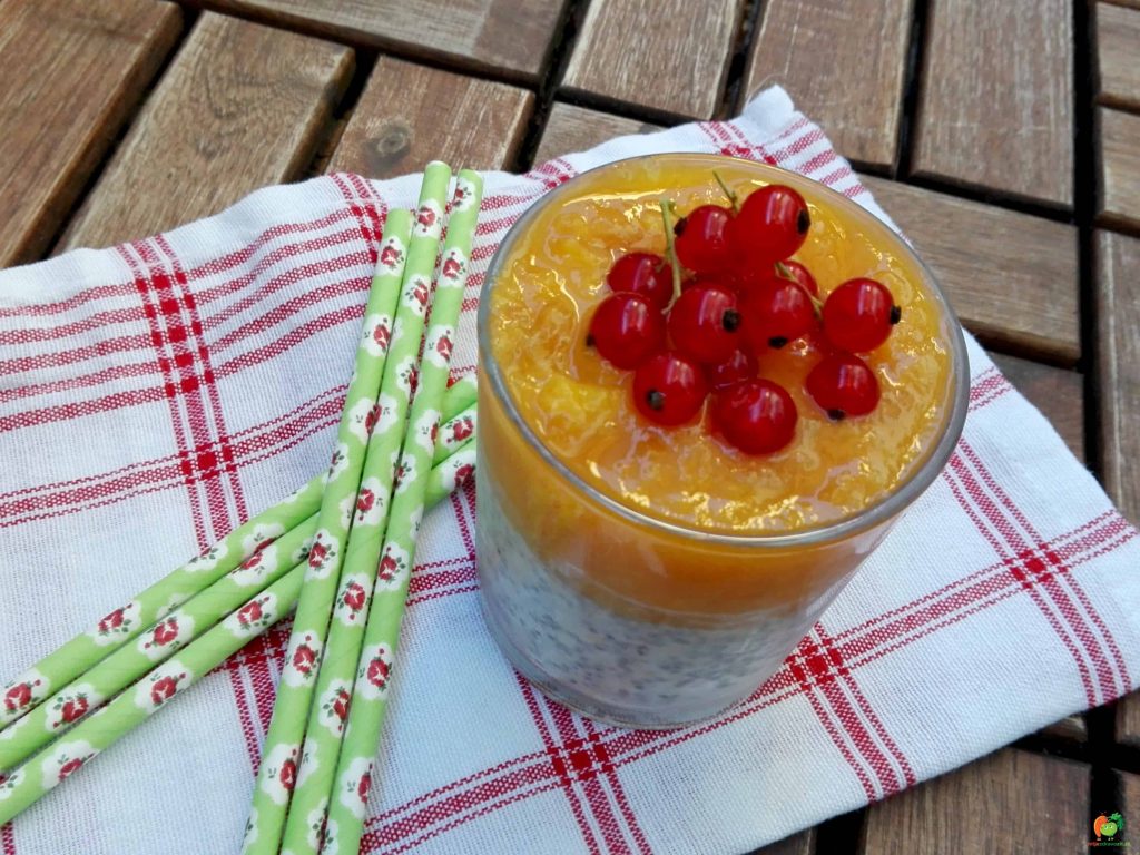 chia puding 1
